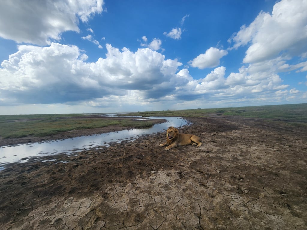 Mzimba Adventures